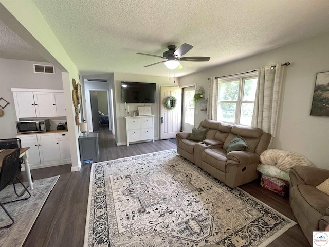 22756 Hickory Chapel Ave, Lincoln, MO 65338 - living room featuring a textured ceiling, dark wood-style floors, and a ceiling fan