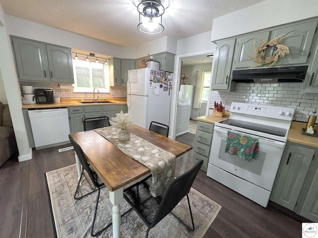 22756 Hickory Chapel Ave, Lincoln, MO 65338 - kitchen with white appliances, a sink, under cabinet range hood, gray cabinets, and light countertops