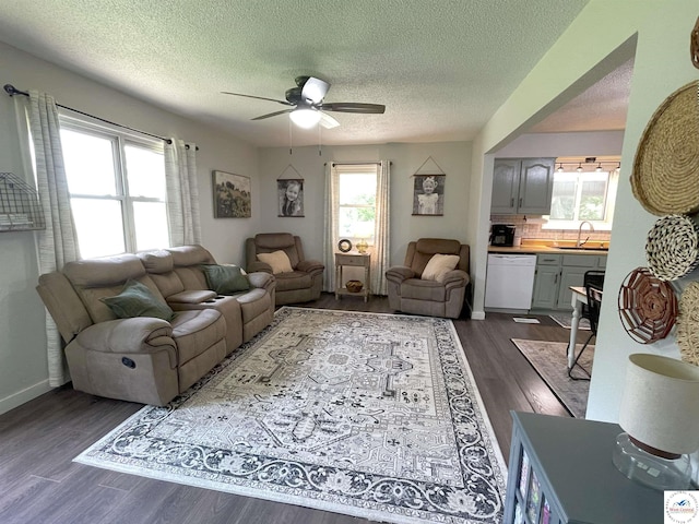 22756 Hickory Chapel Ave, Lincoln, MO 65338 - living room with a ceiling fan, a textured ceiling, and dark wood-style floors