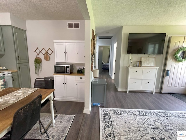 22756 Hickory Chapel Ave, Lincoln, MO 65338 - kitchen with stainless steel microwave, dark wood finished floors, a textured ceiling, and light countertops