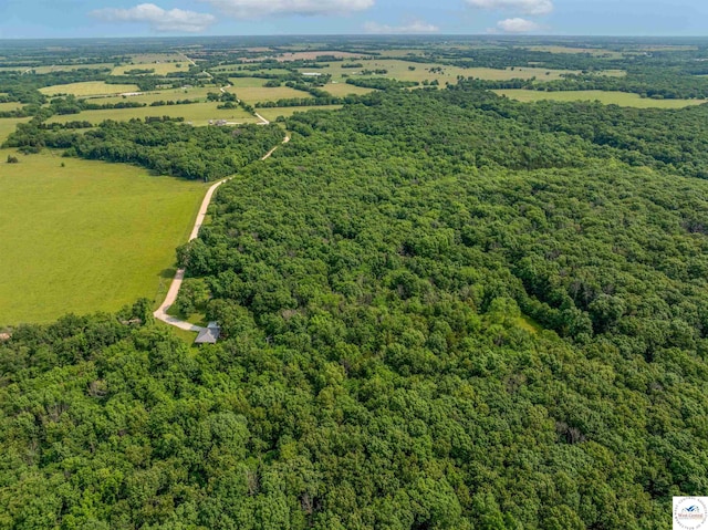 22756 Hickory Chapel Ave, Lincoln, MO 65338 - bird's eye view of a forest