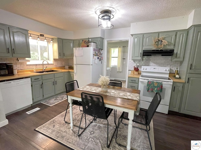22756 Hickory Chapel Ave, Lincoln, MO 65338 - kitchen featuring white appliances, a sink, under cabinet range hood, green cabinets, and light countertops
