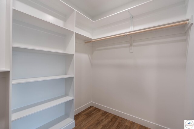 1504 E 7th St, Sedalia, MO 65301 - spacious closet featuring dark wood-style flooring