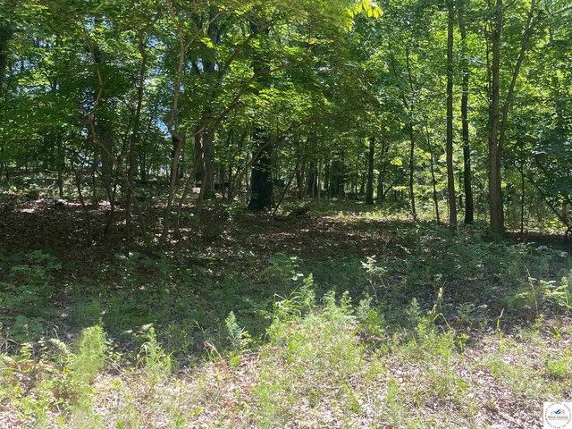 TBD Wapiti Ln, Edwards, MO 65326 - photo 7