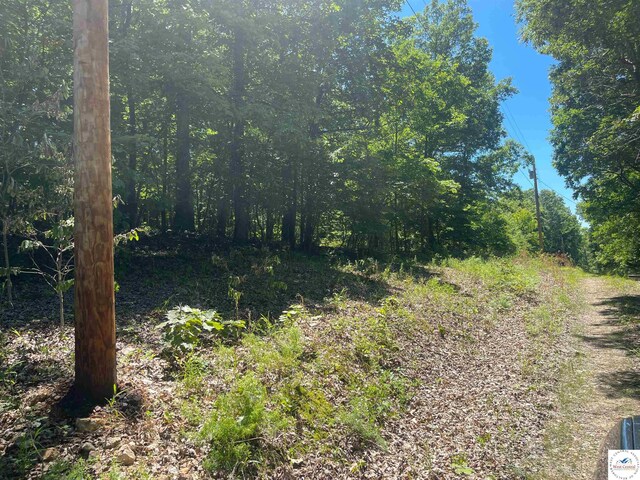TBD Wapiti Ln, Edwards, MO 65326 - photo 1