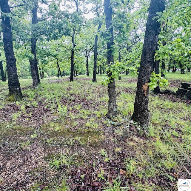 30342 Sassafras Dr, Warsaw, MO 65355 - view of nature