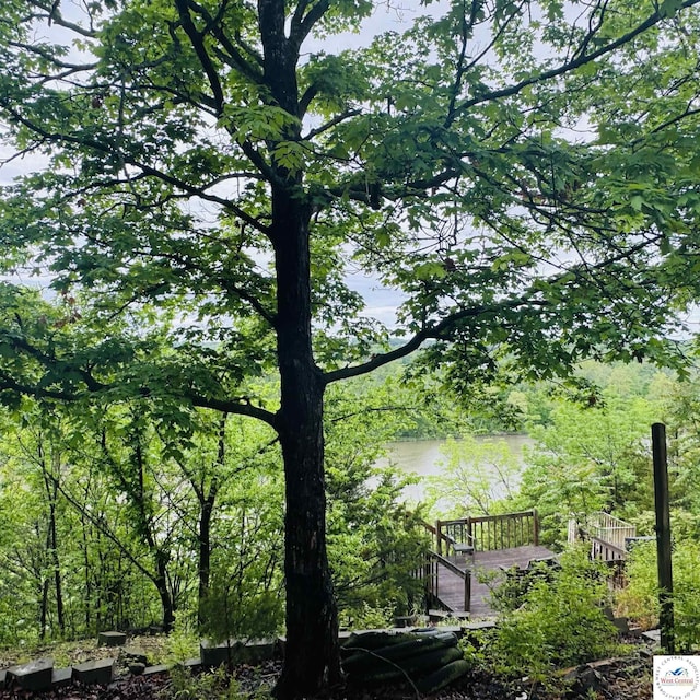 30342 Sassafras Dr, Warsaw, MO 65355 - water view with a forest