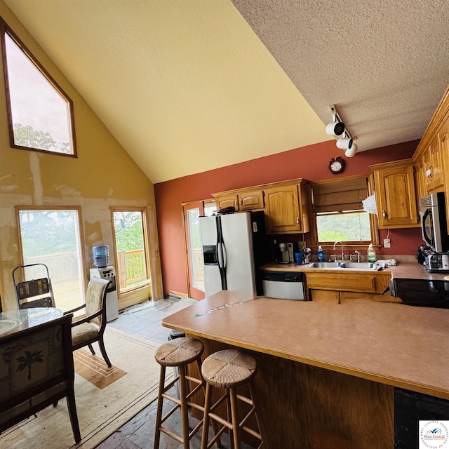 30342 Sassafras Dr, Warsaw, MO 65355 - kitchen with appliances with stainless steel finishes, a sink, a peninsula, high vaulted ceiling, and rail lighting