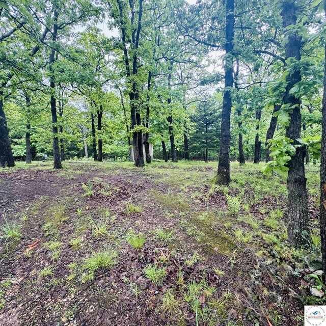30342 Sassafras Dr, Warsaw, MO 65355 - view of wooded area