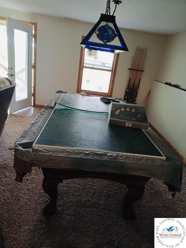 30342 Sassafras Dr, Warsaw, MO 65355 - rec room with plenty of natural light, carpet, billiards, and baseboards
