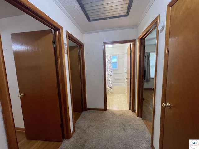 31688 Highline Dr, Warsaw, MO 65355 - photo 16