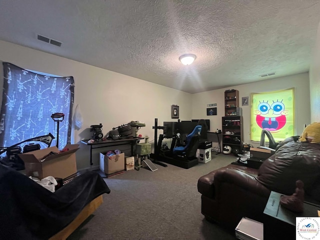 100 NW 4343 P Ln, Clinton, MO 64735 - living area featuring visible vents, a textured ceiling, and carpet flooring