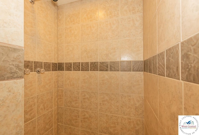 room details featuring tiled shower