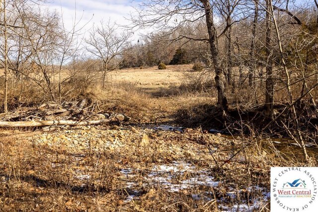 0000 SW J Hwy, Collins, MO 64738