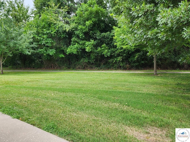 807 S Iowa Cir, Clinton, MO 64735 - photo 6