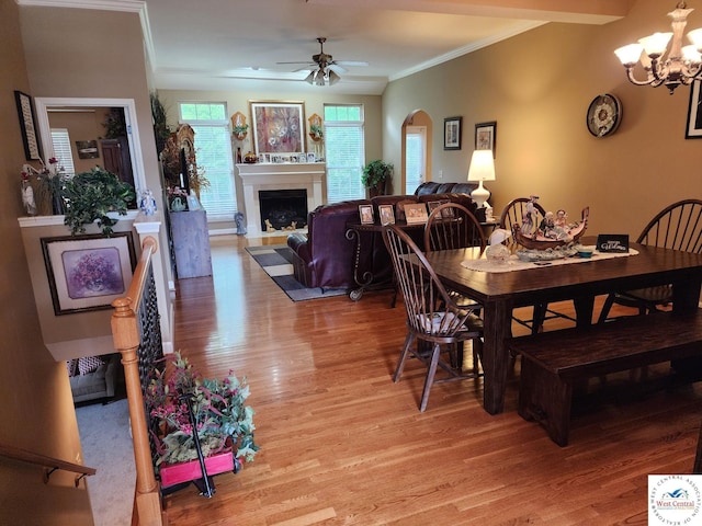 807 S Iowa Cir, Clinton, MO 64735 - photo 8