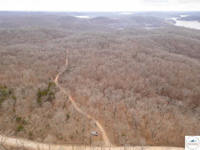 80/-ACRES Proctor Ln, Gravois Mills, MO 65037