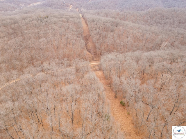 80/-ACRES Proctor Ln, Gravois Mills, MO 65037