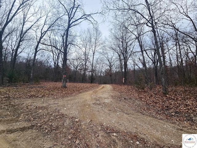 80/-ACRES Proctor Ln, Gravois Mills, MO 65037