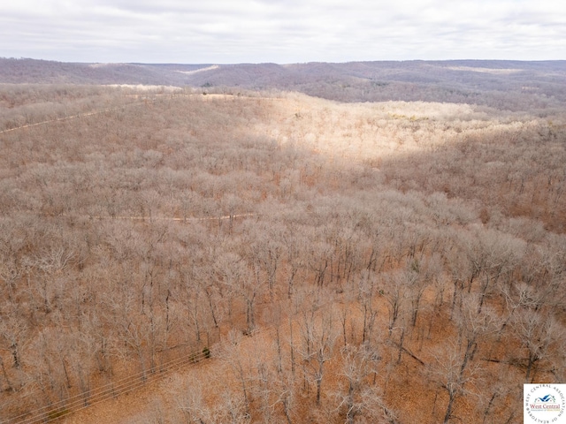 80/-ACRES Proctor Ln, Gravois Mills, MO 65037