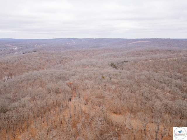 80/-ACRES Proctor Ln, Gravois Mills, MO 65037