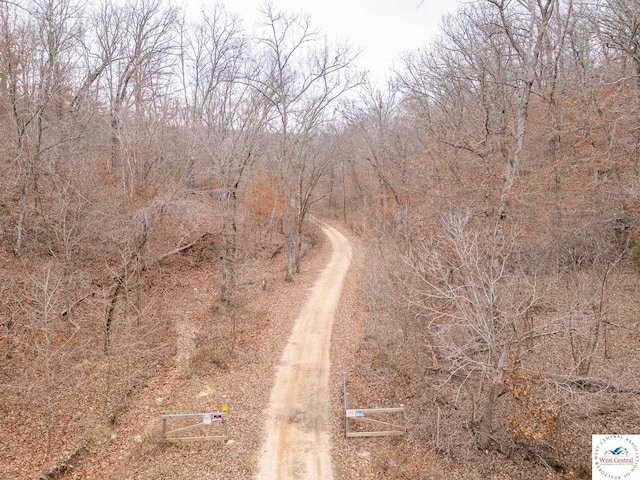 80/-ACRES Proctor Ln, Gravois Mills, MO 65037
