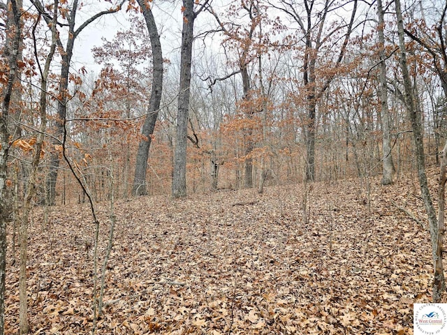 80/-ACRES Proctor Ln, Gravois Mills, MO 65037