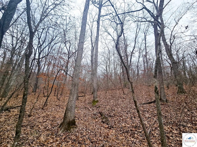 80/-ACRES Proctor Ln, Gravois Mills, MO 65037