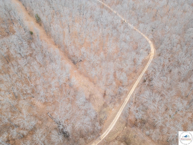 80/-ACRES Proctor Ln, Gravois Mills, MO 65037