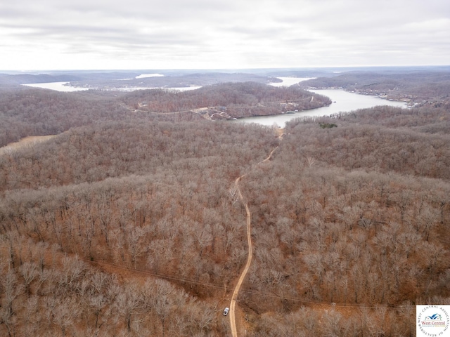 80/-ACRES Proctor Ln, Gravois Mills, MO 65037