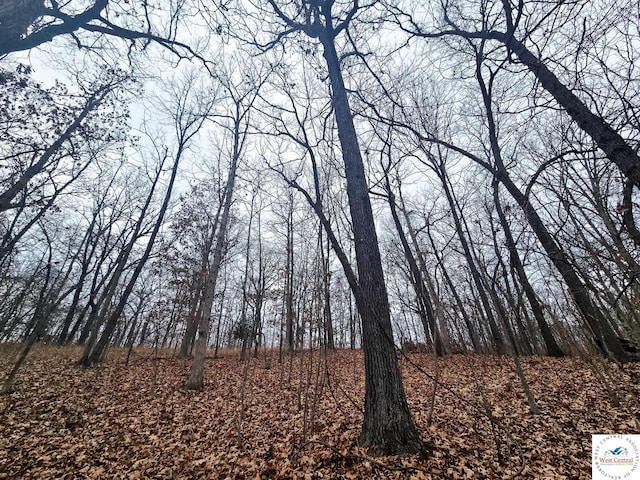 80/-ACRES Proctor Ln, Gravois Mills, MO 65037