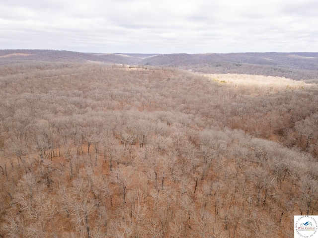 80/-ACRES Proctor Ln, Gravois Mills, MO 65037