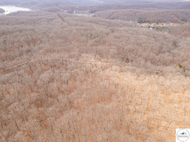 80/-ACRES Proctor Ln, Gravois Mills, MO 65037