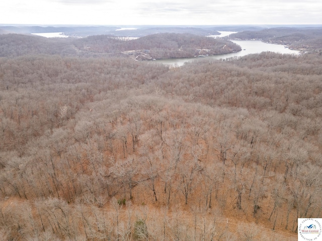 80/-ACRES Proctor Ln, Gravois Mills, MO 65037