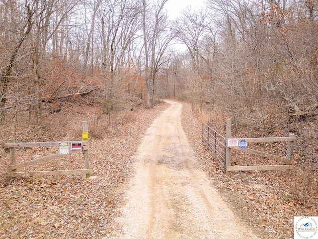 80/-ACRES Proctor Ln, Gravois Mills, MO 65037
