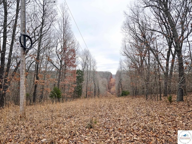 80/-ACRES Proctor Ln, Gravois Mills, MO 65037