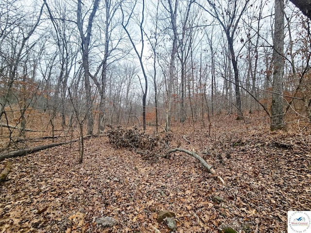 80/-ACRES Proctor Ln, Gravois Mills, MO 65037