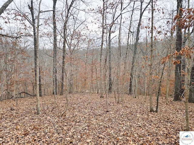 80/-ACRES Proctor Ln, Gravois Mills, MO 65037