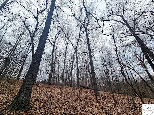 80/-ACRES Proctor Ln, Gravois Mills, MO 65037