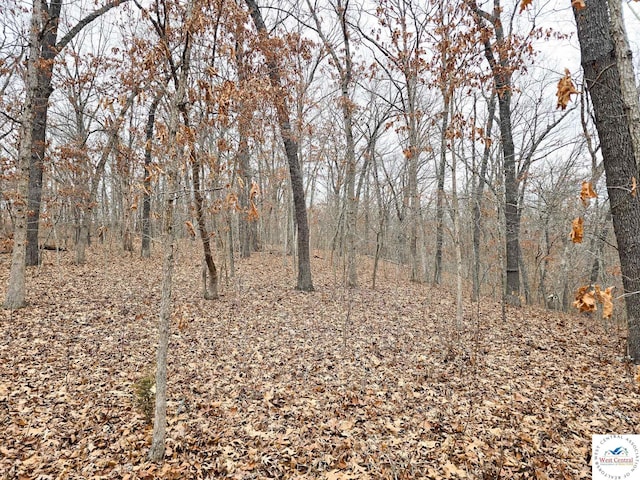 80/-ACRES Proctor Ln, Gravois Mills, MO 65037