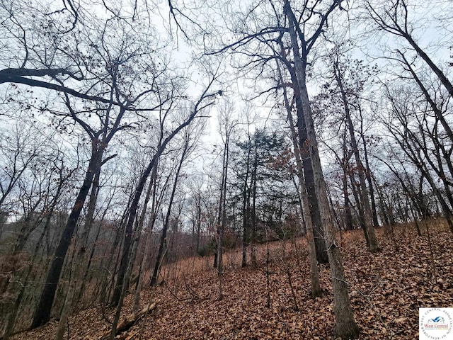80/-ACRES Proctor Ln, Gravois Mills, MO 65037