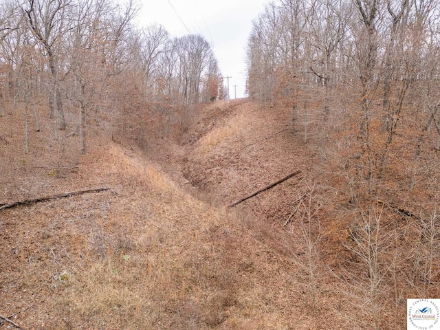 80/-ACRES Proctor Ln, Gravois Mills, MO 65037