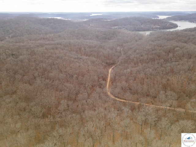 80/-ACRES Proctor Ln, Gravois Mills, MO 65037