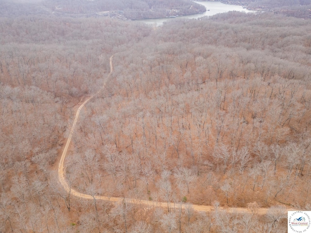 80/-ACRES Proctor Ln, Gravois Mills, MO 65037