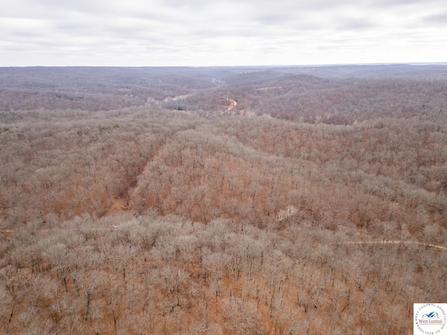 80/-ACRES Proctor Ln, Gravois Mills, MO 65037