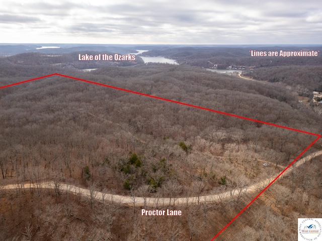 80/-ACRES Proctor Ln, Gravois Mills, MO 65037