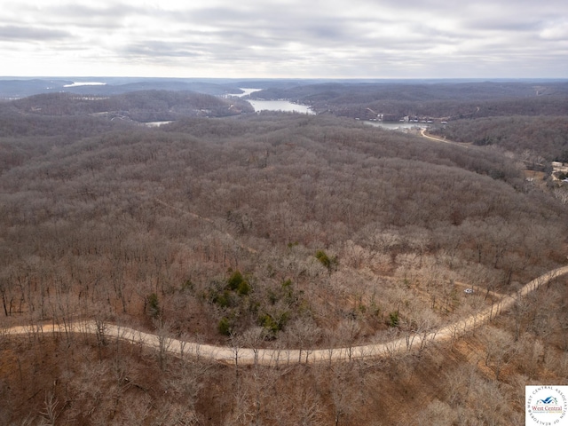 80/-ACRES Proctor Ln, Gravois Mills, MO 65037