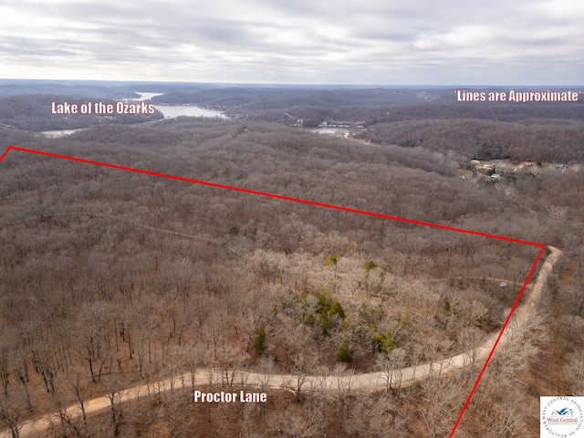 80/-ACRES Proctor Ln, Gravois Mills, MO 65037