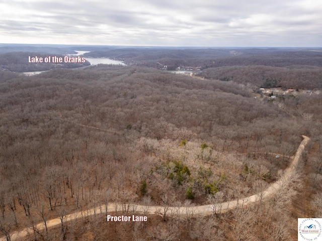 80/-ACRES Proctor Ln, Gravois Mills, MO 65037