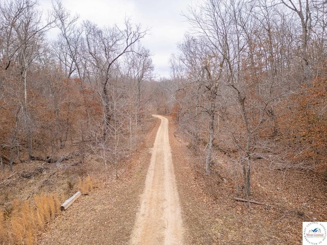 80/-ACRES Proctor Ln, Gravois Mills, MO 65037
